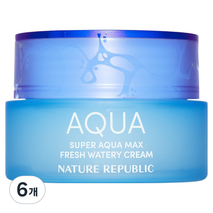 네이처리퍼블릭 슈퍼 아쿠아 맥스 프레시 수분크림 지성용, 80ml, 6개