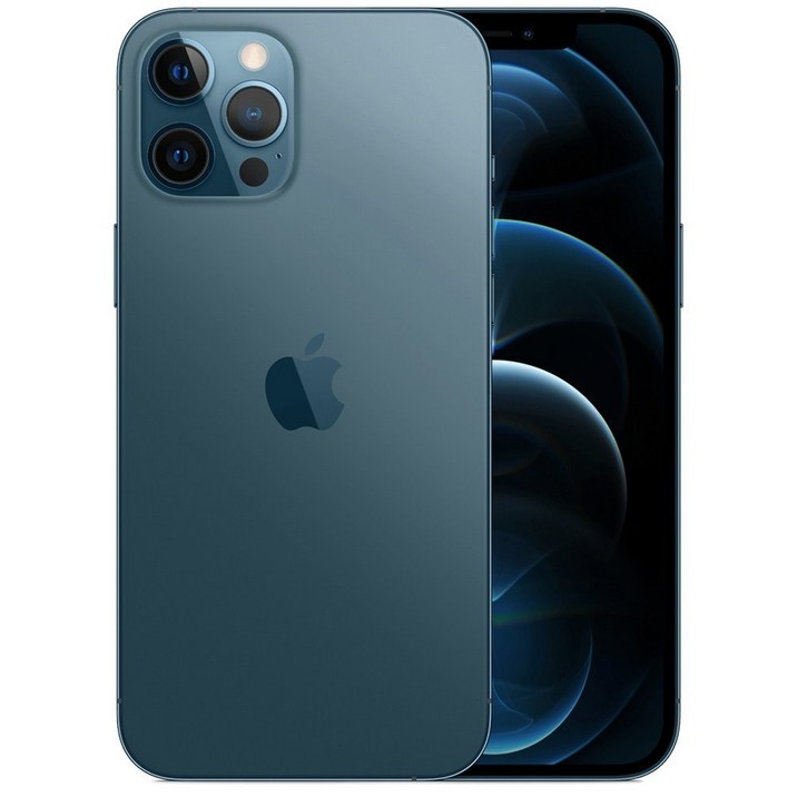 Apple 아이폰 12 Pro Max 자급제