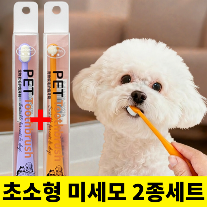 베리픽스 강아지 칫솔 고양이 소형 애견