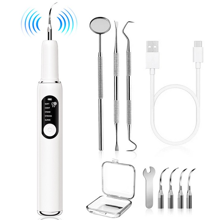 스마트 진동 구강 클리너 LED 라이트 휴대용 셀프 치석제거기