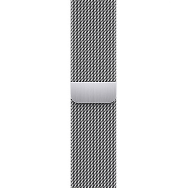 Apple 정품 애플워치 밀레니즈 루프