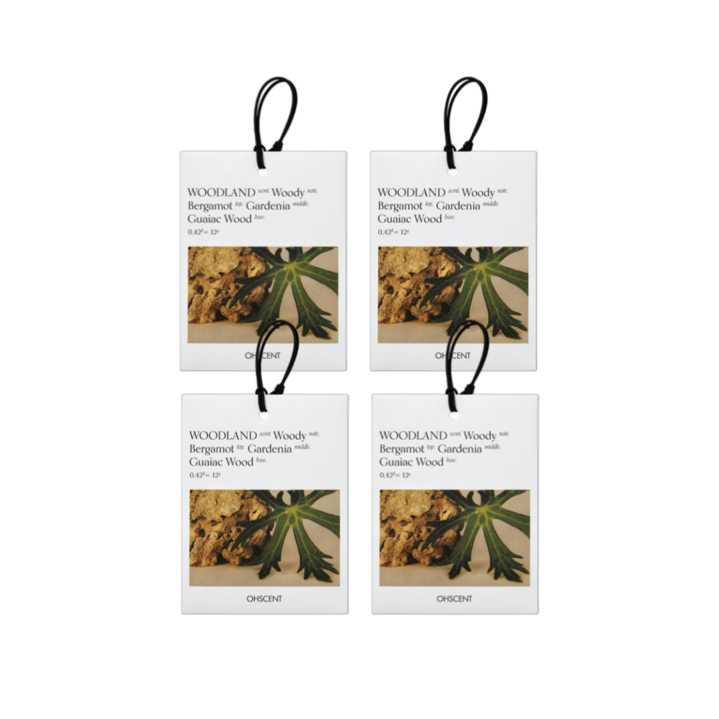 [3+1] 오센트 퍼퓸 샤쉐 6종 4입, 룸 차량 옷장 화장실 방향제! 공간을 담은 향기