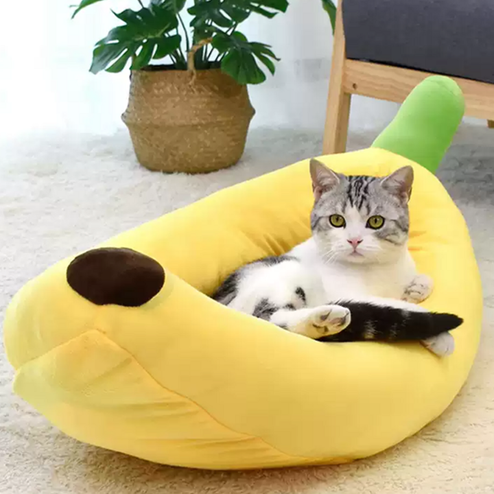 네씨 고양이 드랑시 바나나 방석, 옐로우