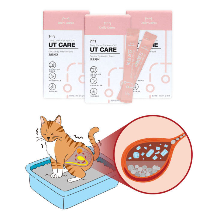 시스테이드 닥터바이 요로케어 고양이 신장 영양제 방광 요로 건강 배뇨 도움, 1세트, 유리너리 (비뇨계), 요로케어