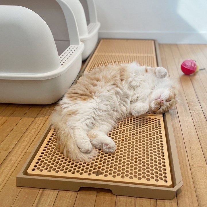 요기펫 고양이 화장실 사막화방지 모래 매트 패드 대형 - 쇼핑뉴스