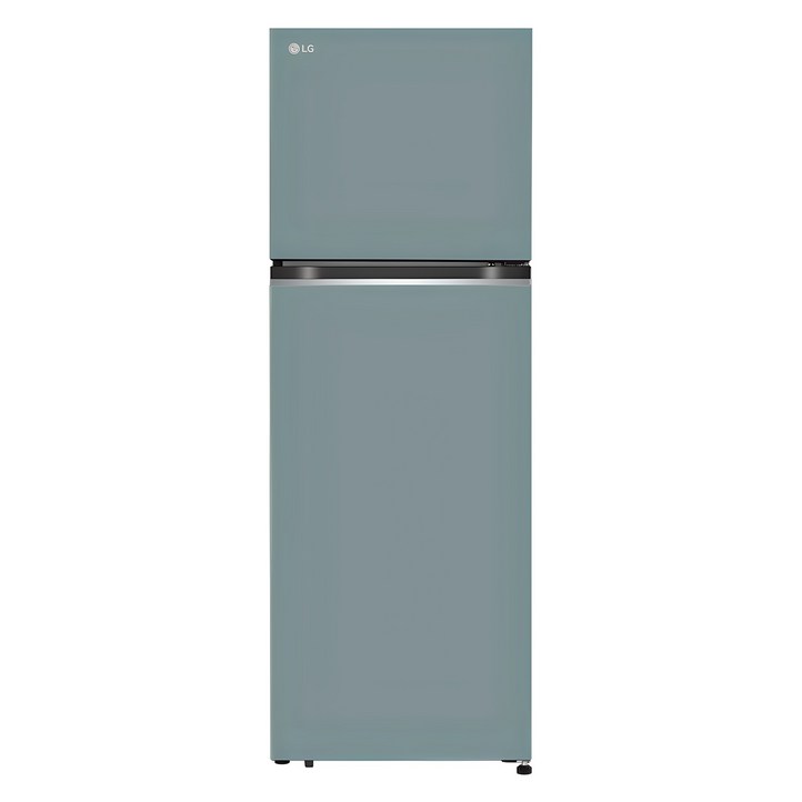 색상선택형 LG전자 오브제 335L 2도어 냉장고 메탈 방문설치
