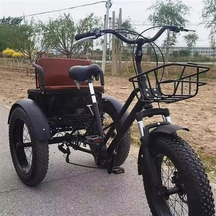 성인 세발자전거 삼륜 광폭 이동식 플랫 3륜 바구니자전거 2인용 부모님 20인치