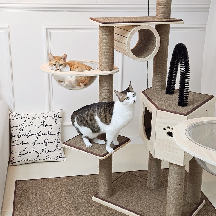 가르르 고양이 원목 캣폴 우주선 캣타워, 1개, 브라운