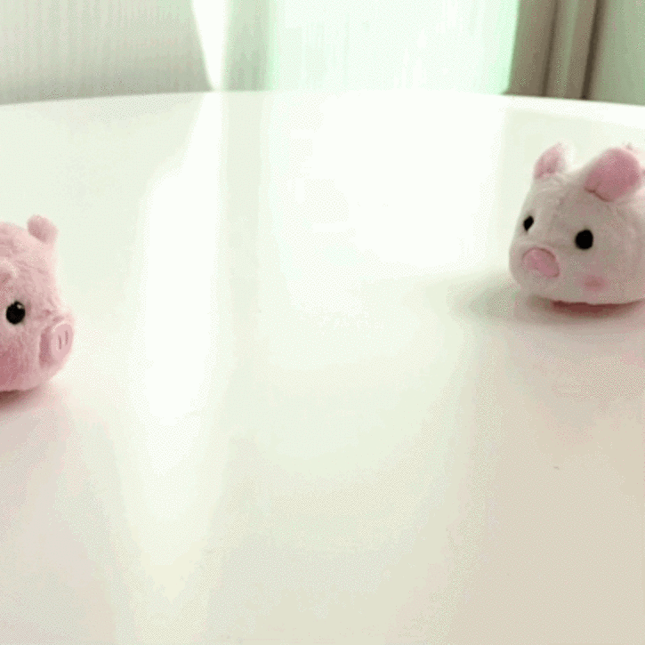 돼지 토끼 움직이는 인형 반려동물 장난감