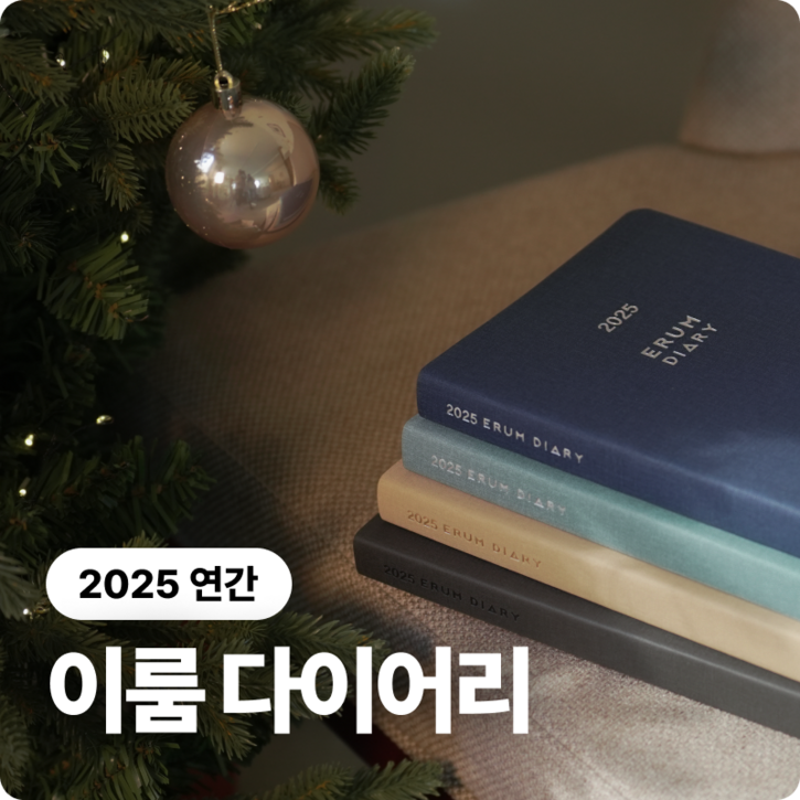 2025 이룸 다이어리 연간 다이어리 거인의노트 김익한 김교수세가지 플래너 스케줄러 일기 업무용 다이어리 기록, 민트 MINT