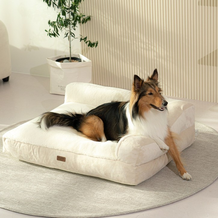 펫테일 강아지 은나노 리저브 방석 쿠션 침대 쇼파, 네추럴 베이지 XL+ 미니쿠션 2개