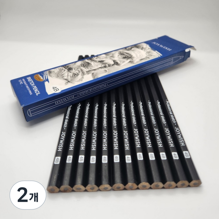 비오엔지 전문가용 드로잉 미술 펜슬 연필 12p 세트, 4B, 2개