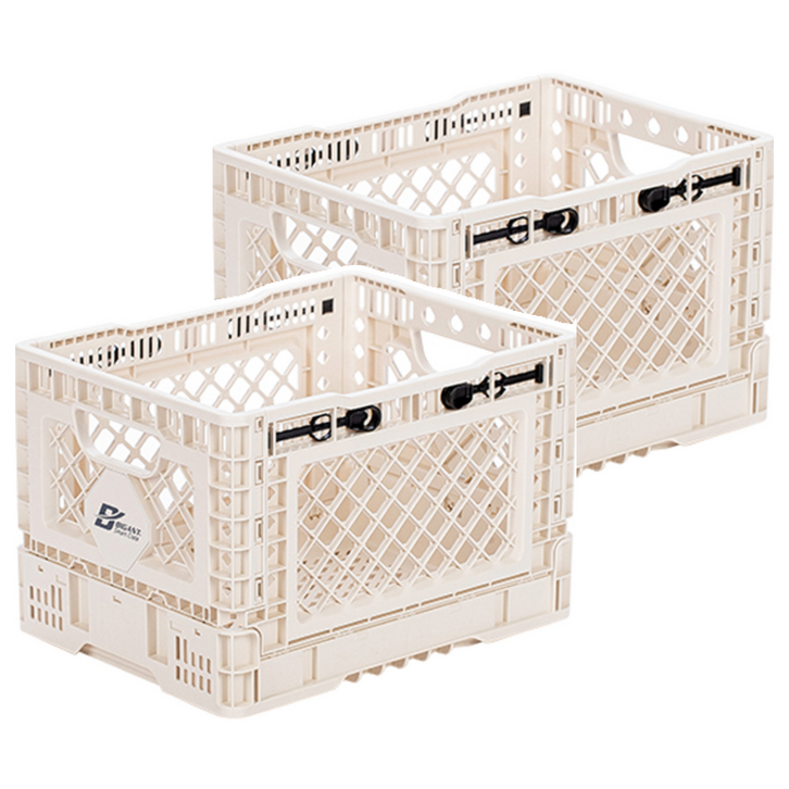 빅앤트 폴딩박스