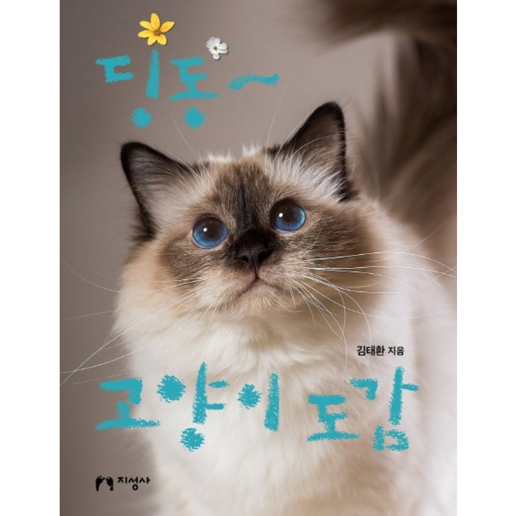 딩동~ 고양이 도감: - 쇼핑뉴스