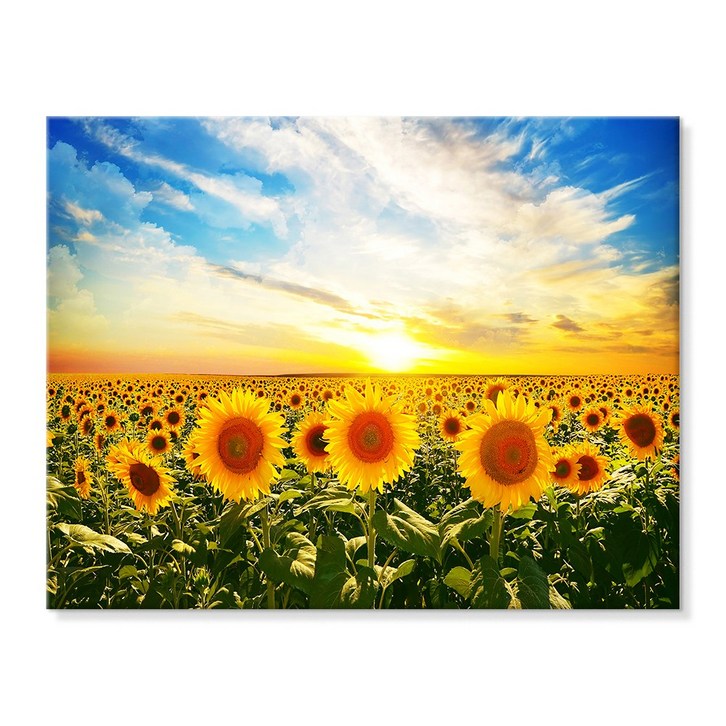 더 아트 컴퍼니 돈 들어오는 풍수 두꺼비집 가리개 30종 배전함 차단기 해바라기 사과 코끼리 자작나무 돈나무 커버 현관 그림 액자 인테리어, 10. 일출 해바라기 밭