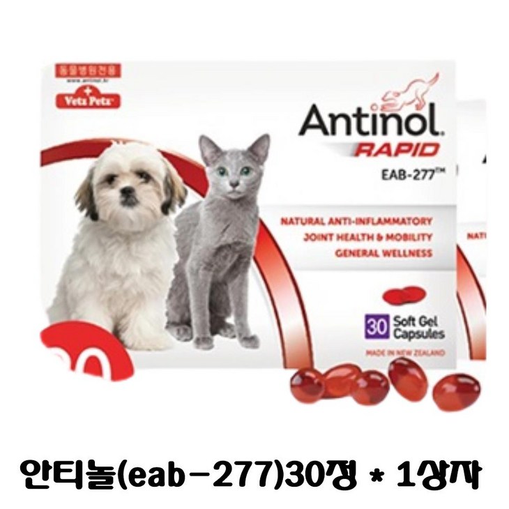 안티놀 래피드 30정 (강아지,고양이 관절영양제)