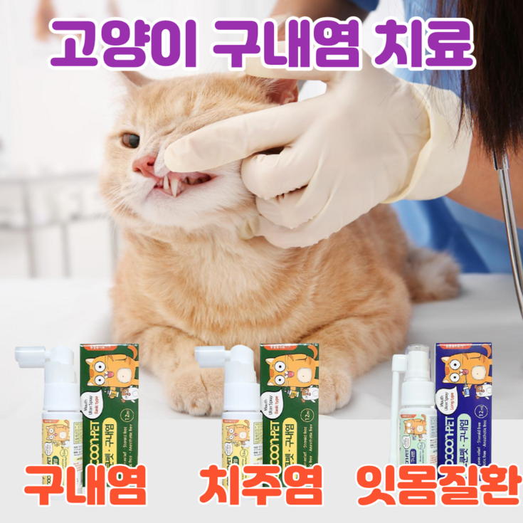 이지캣 고양이 구내염약 구내염 치주염 치은염 잇몸염증 바르는 젤 구강 영양제