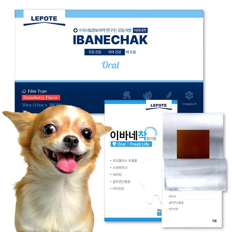 경보제약 이바네착 강아지 구내염 구강 필름형 영양제, 3개
