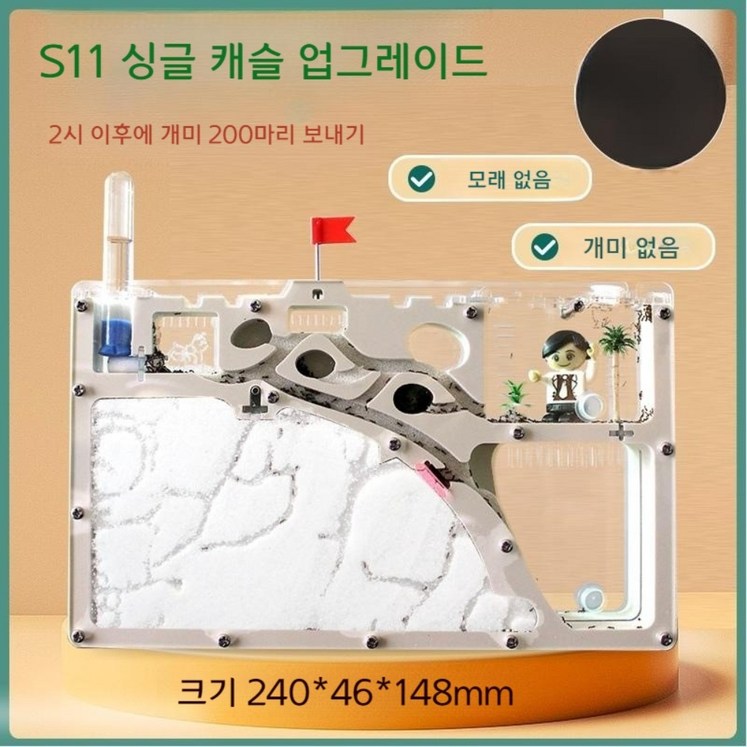 개미집 세트 관찰 키트 개미 키우기