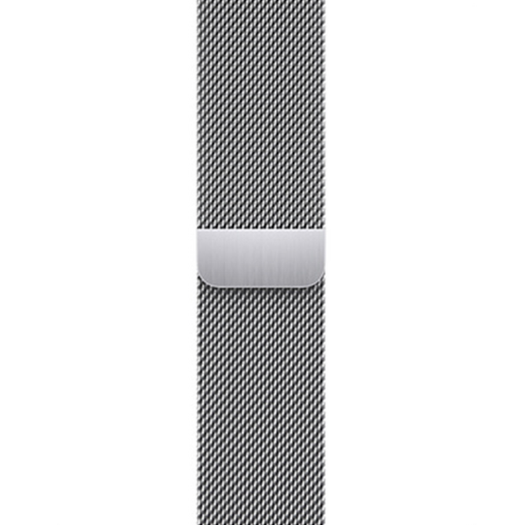 Apple 정품 애플워치 밀레니즈 루프