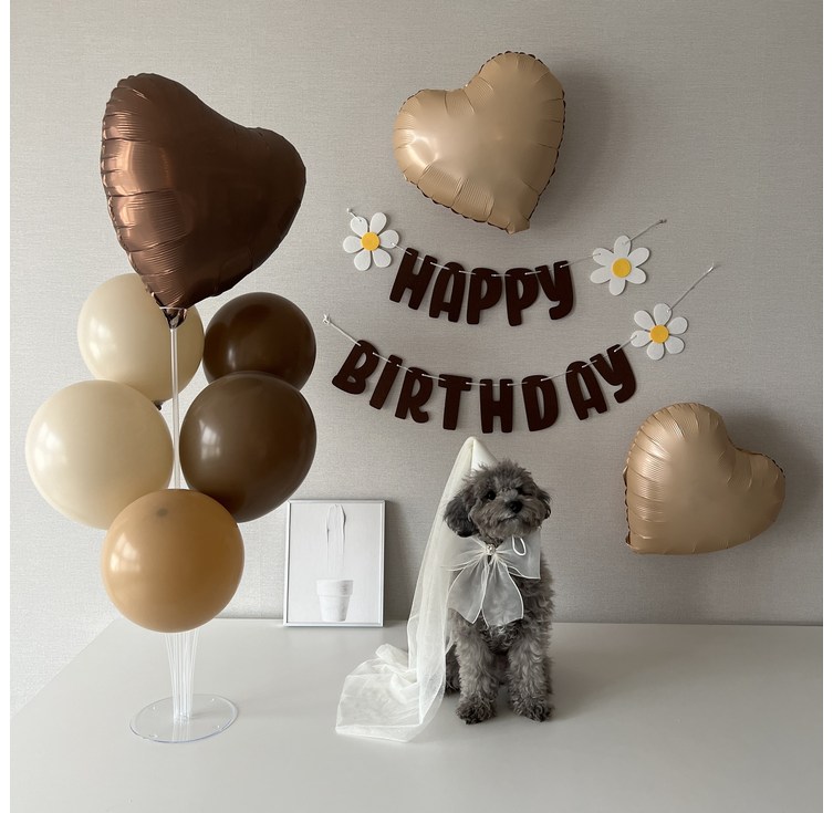 하피블리 강아지 생일 파티 베이지 하트 풍선 브라운 데이지 가랜드 생일상 세트, 생일가랜드브라운