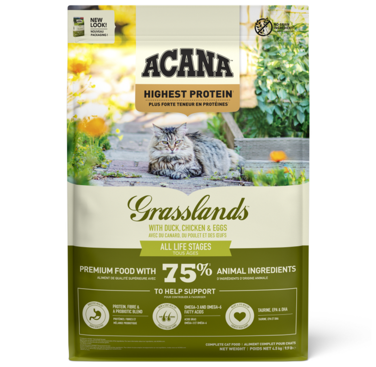 아카나 그래스랜드 캣